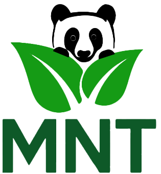 MNT Green Energy